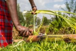 KAZI Home Goods Banana Striped Storage Basket 11 KAZI Home Goods Banana Striped Storage Basket
