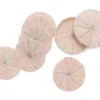KAZI Beaded Soft Pink + Pearl Coasters