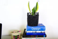 KAZI Home Goods Chromatic Lidded Box