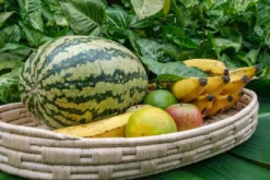 KAZI Natural Raffia Patterned Oval Tray Home Goods