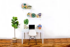 KAZI Peach Bomba Brush Cup Home Goods