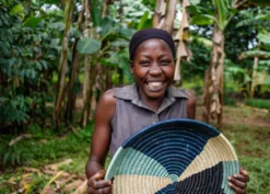 KAZI Cool Color Blocked Raffia Tray