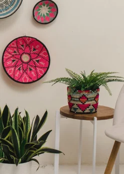 KAZI Vivid Viola Mwiba Planter