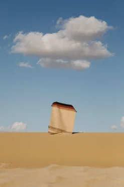 Kiliim Oasis Wool Runner / Rug Home Goods 10 Kiliim Oasis Wool Runner / Rug Home Goods