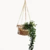 Korissa Home Goods Jhuri Single Hanging Basket 1 Korissa Home Goods Jhuri Single Hanging Basket