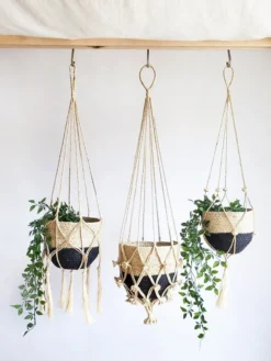 Korissa Bitan Plant Hanger Set Staff Favorites