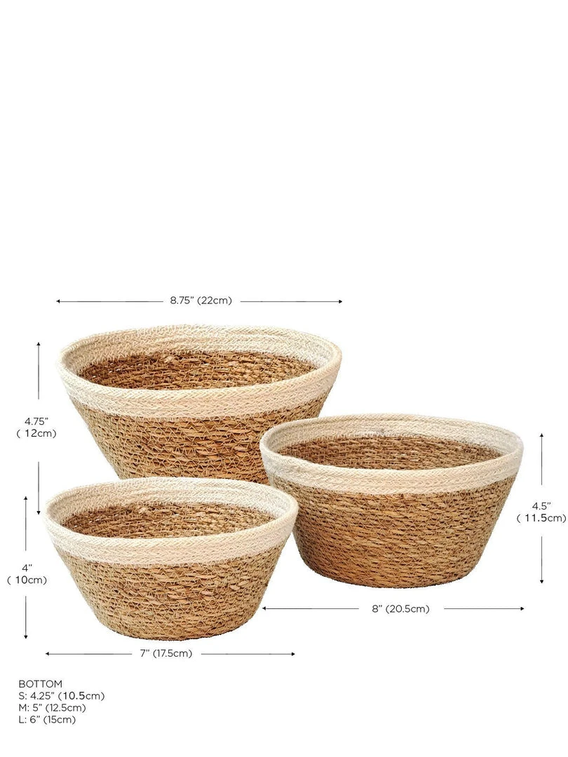 Korissa Savar Plant Bowl Set Home Goods 10 Korissa Savar Plant Bowl Set Home Goods