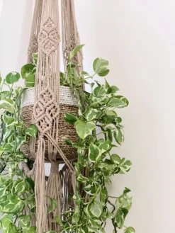 Ceremonia Large Darling Macramé Plant Hanger Best Sellers