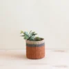LIKHÂ Home Goods Coral Tabletop Mini Basket