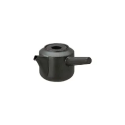 KINTO Best Sellers Leaves To Tea Porcelain Kyusu Teapot - Black