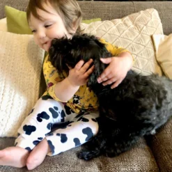 Lucky Bug Clothing Kids' + Baby Baby's Essential Bamboo Stretch Cow Play Pants