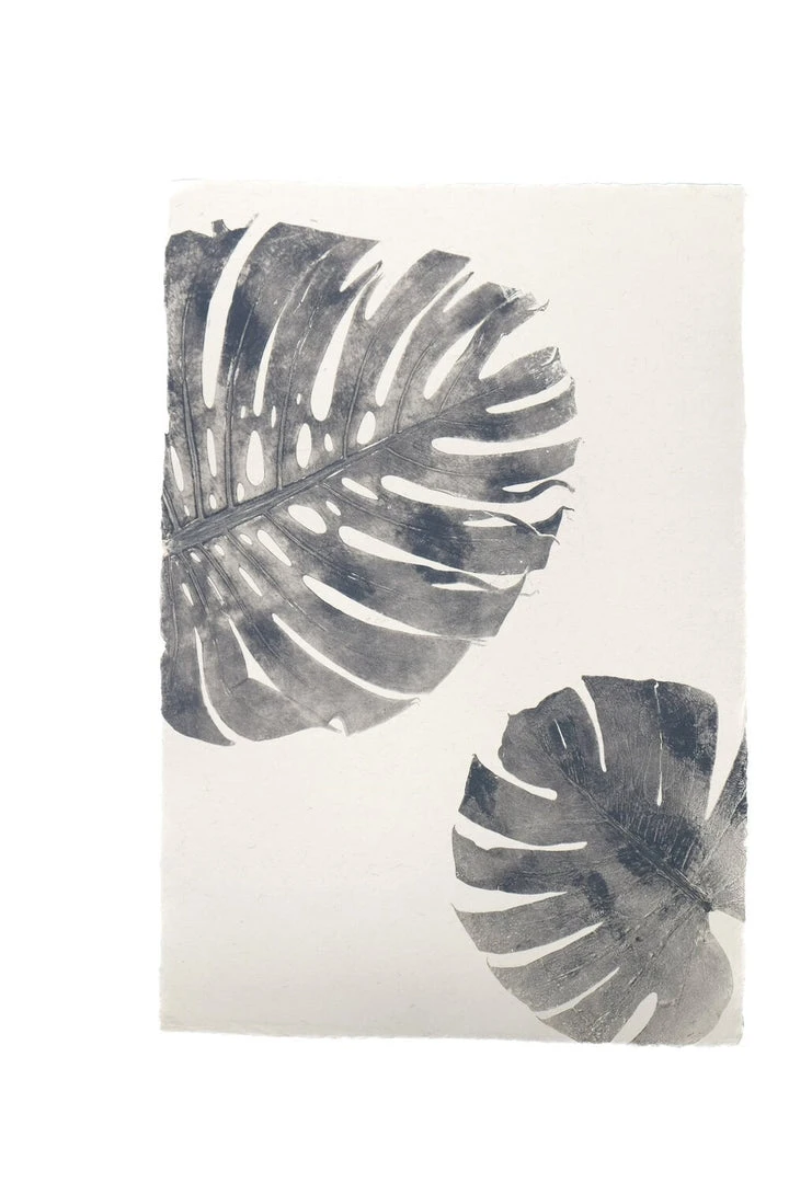 Magda Made Home Goods Monstera Print 6 Magda Made Home Goods Monstera Print