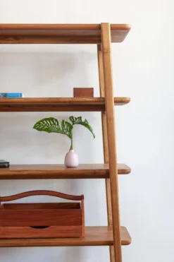 Masaya & Co. Apanas Bookshelf Furniture
