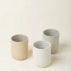 August Sage Maufrais Ceramic Tumbler Kitchen + Dining