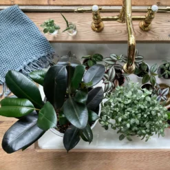 Amante Marketplace Meraki Turkish Hand Towel