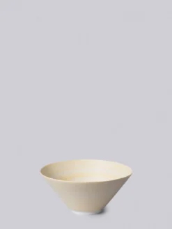 Middle Kingdom Conical Porcelain Bowl - Mango Kitchen + Dining
