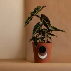 Anne Gates Studio Moon Ceramic Planter