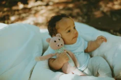 Pebble Gifts Pig Rattle