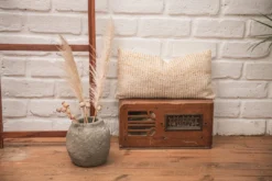 Zuahaza Pitaya Lumbar Pillow Cover