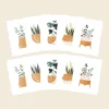 Cute Root Greeting Cards Plants And Pots Plantable Cards - 10 Pack