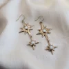 Iron Oxide Special Occasion Polaris Earrings
