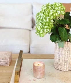 Rose & Fitzgerald Best Sellers Soapstone Candle - Guava + Mediterranean Fig 13 Rose & Fitzgerald Best Sellers Soapstone Candle - Guava + Mediterranean Fig