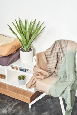 Studio Variously Salvia Merino Blanket