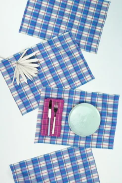 Archive New York San Andres Gingham Placemat Set Home Goods