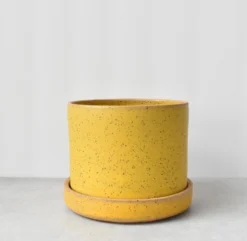 Katie Mudd Best Sellers Simple Dandelion Stoneware Planter Set