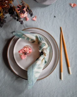 Soil To Studio Pari Ikat Napkin Set