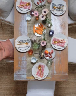 Soil To Studio Ruhi Ikat Napkin Set