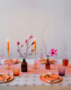 Soil To Studio Home Goods Tulsi Ikat Throw Blanket