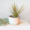 Moonshine Design Speckled Stoneware Planter