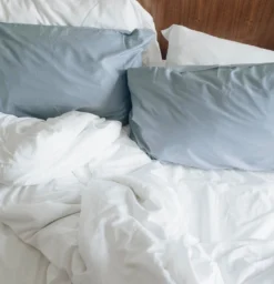 Eucalypso Tencel Eucalyptus Pillowcase Set 19 Eucalypso Tencel Eucalyptus Pillowcase Set