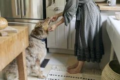 Territory Design Home Goods Laine Wool Accent Rug 14 Territory Design Home Goods Laine Wool Accent Rug