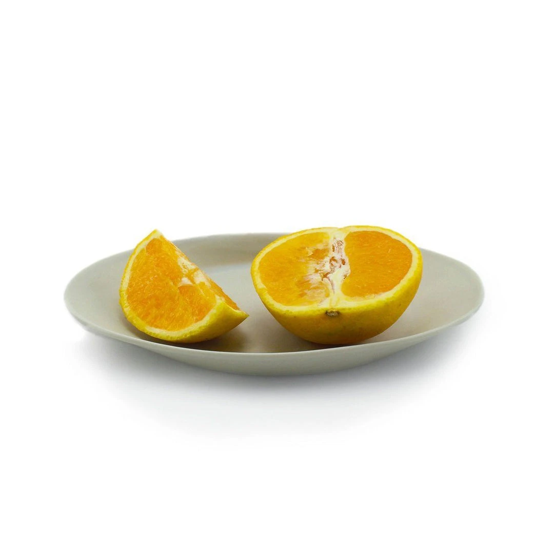 The Bright Angle Kitchen + Dining Porcelain Catchall Plate - Smoke Gray 4 The Bright Angle Kitchen + Dining Porcelain Catchall Plate - Smoke Gray