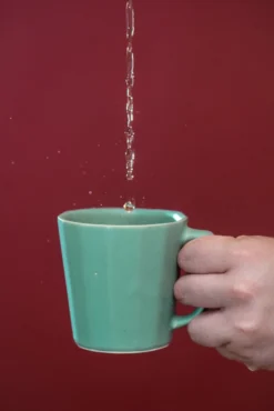 The Bright Angle Monday Porcelain Mug - Rosemary Green Kitchen + Dining