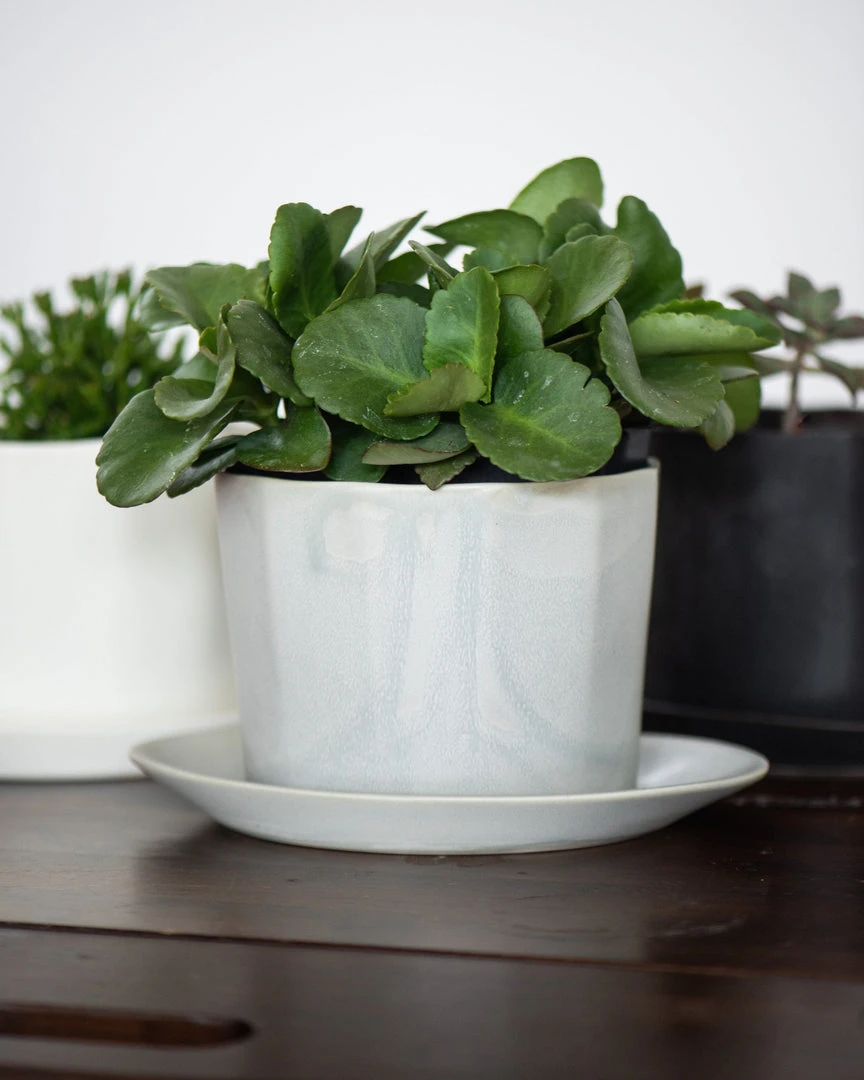 The Bright Angle Home Goods Native Porcelain Planter - Mica Black 4 The Bright Angle Home Goods Native Porcelain Planter - Mica Black