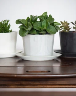 The Bright Angle Home Goods Native Porcelain Planter - Mica Black 10 The Bright Angle Home Goods Native Porcelain Planter - Mica Black