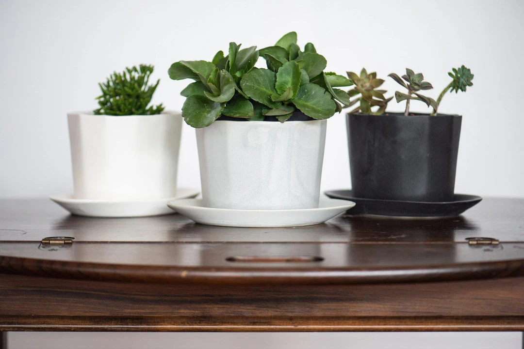 The Bright Angle Home Goods Native Porcelain Planter - Mica Black 7 The Bright Angle Home Goods Native Porcelain Planter - Mica Black