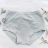 Thunderpants USA Dried Sage Original Underwear