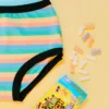 Thunderpants USA Pastel Rainbow Stripe Original Underwear Best Sellers