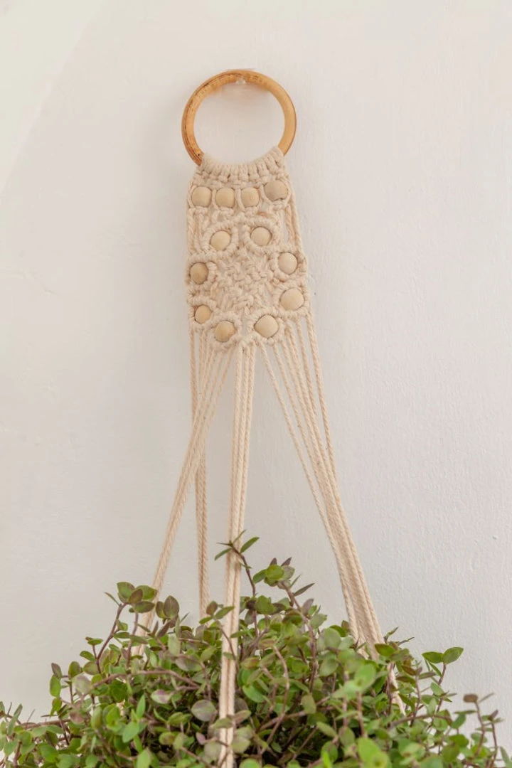 Village Thrive Flora Wall Plant Hanger 4 Village Thrive Flora Wall Plant Hanger