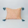 Zuahaza Home Goods Jardín Throw Pillow Cover - Seaglass + Apricot